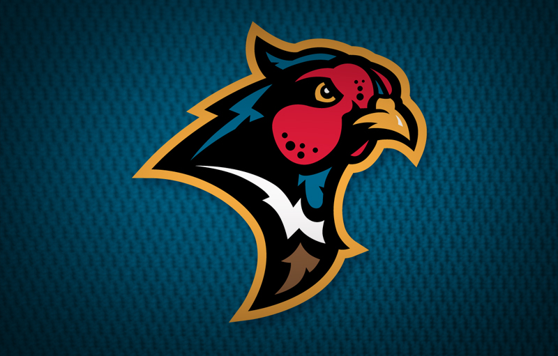 Sioux Falls Baseball Club Logo Redesign and branding.
