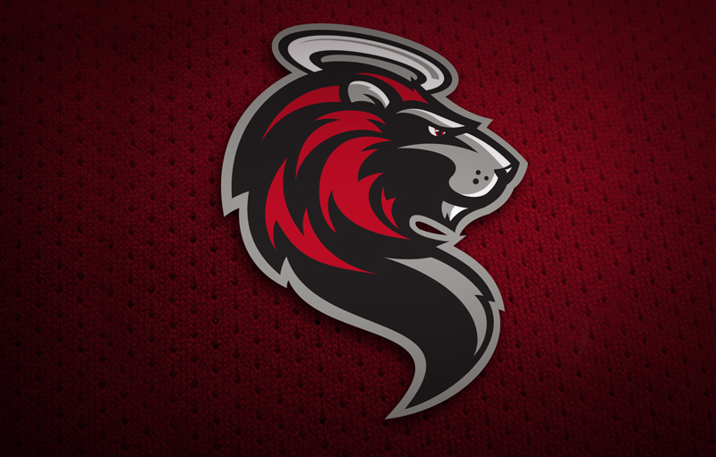 USHL Hockey Club Logo and Branding Design
